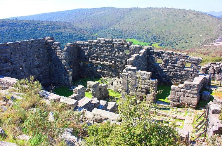 Όρραον