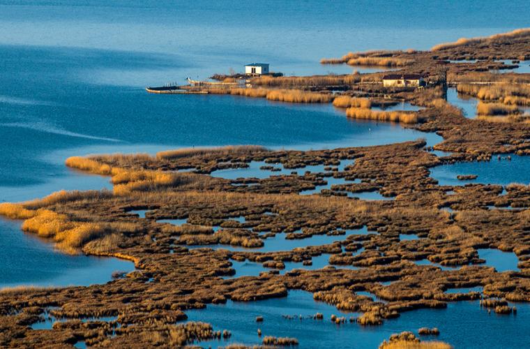 Αμβρακικός Κόλπος — Υγρότοπος