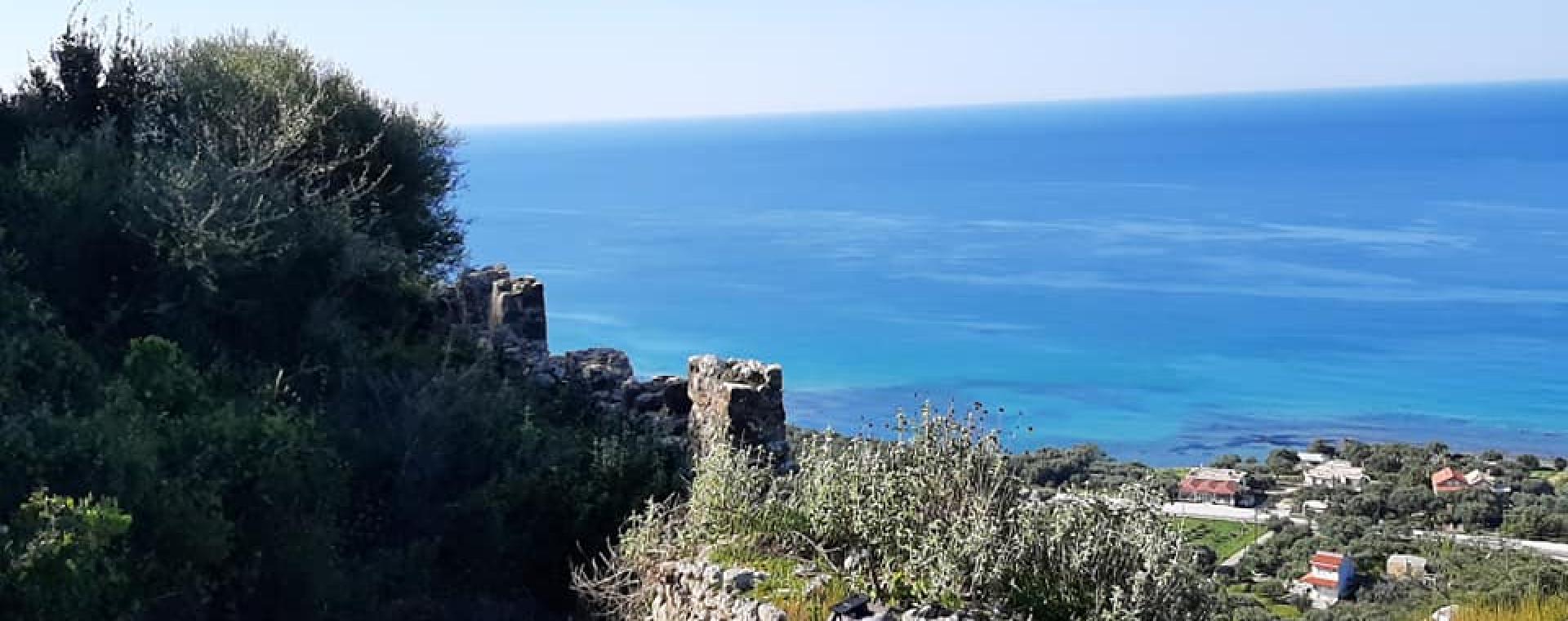 Κάστρο Ρηνιάσας